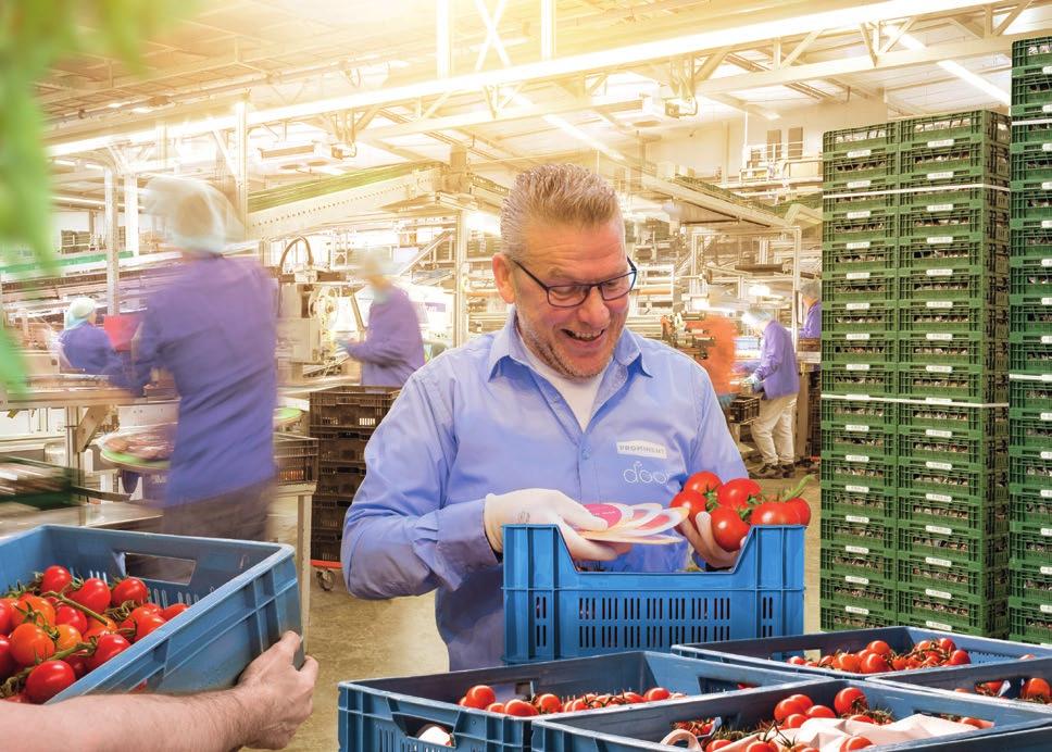 ZO VERS ALS MAAR KAN Bij Prominent staan we garant voor de beste kwaliteit, hygiëne en voedselveiligheid. Niet alleen in de kassen houden we onze tomaten goed in de gaten.