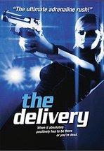 bioscoopfilm The Delivery (2000) waarvoor hij het Gouden Kalf