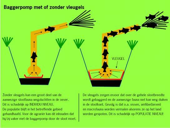 Nadeel van het gebruik van de schuifboot is dat alle aanwezige ecologische waarden aangetast kunnen worden.