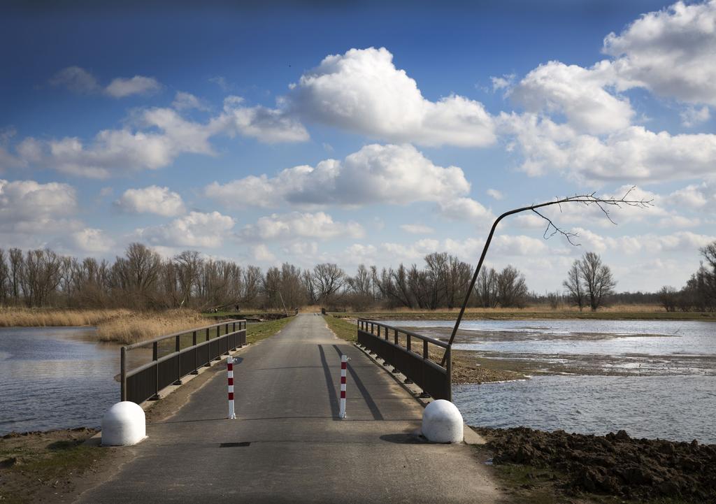 Foto: Werry Crone 2.1 Aanleiding Ruimte voor de Rivier De Nederlandse rivieren krijgen steeds meer water te verwerken. Het waterpeil stijgt omdat het steeds vaker en harder regent.