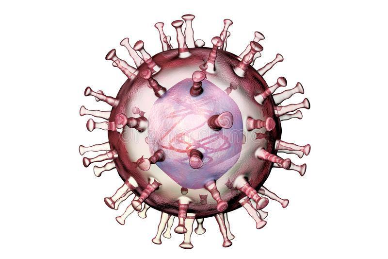 1. Etiologie Afrikaanse varkenspestvirus = DNA-virus, Familie Asfarviridae Verschillende genotypes Grote variatie in virulentie, naargelang de virulentie verschillende vormen: 1.