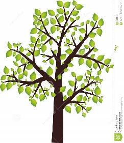 Ik kies mijn eigen boom. We gingen op zoek naar onze lievelingsboom en tekenden hem na.