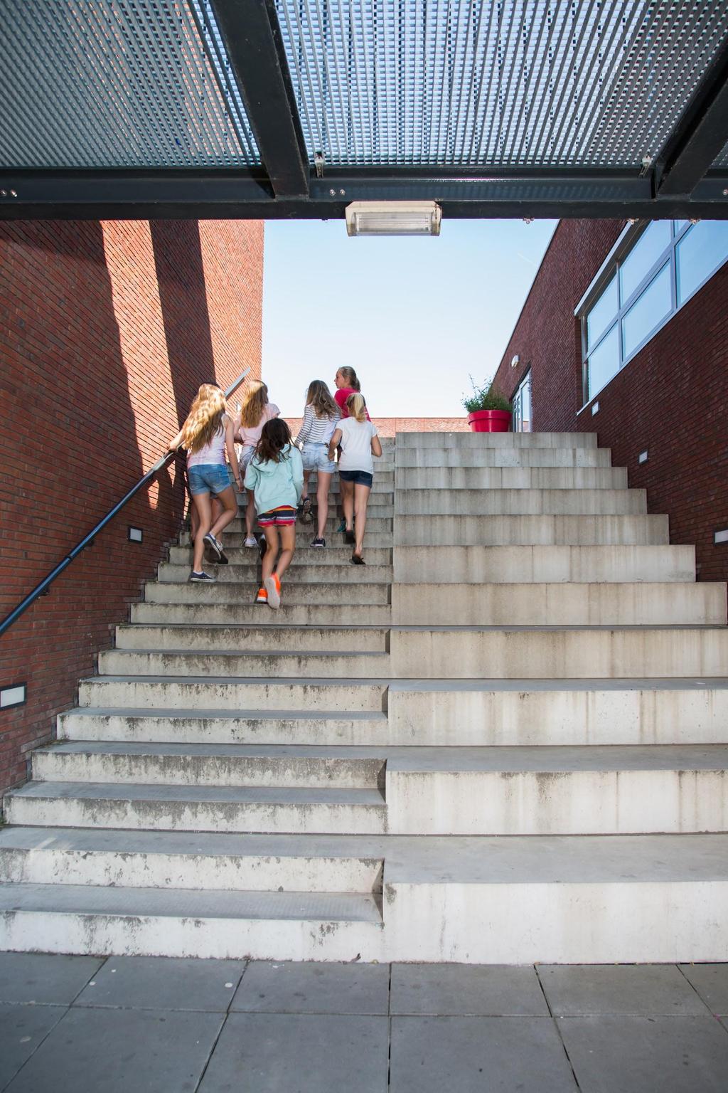 Portret van het Vathorst College De vier pijlers en onze doelen Kunst Leerlingen volgen allemaal vier kunstvakken in de brugklas, en kunnen eindexamen doen in twee kunstvakken.