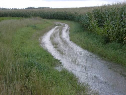 Grasgangen In de richting van het afstromende water, waar