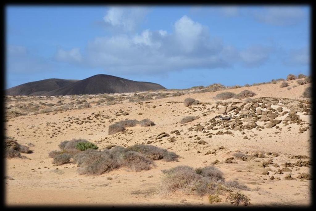 Caleta del Sebo is de hoofdstad van La Graciosa, een soort kruising tussen een wildweststadje en een Noord-Afrikaans