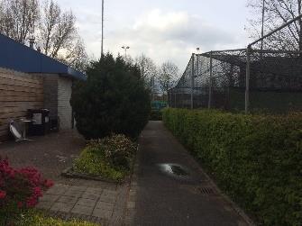 Bijlage B: Programma van eisen parkvernieuwing At Risk ALGEMEEN De tennisvereniging At Risk telt bijna 1.000 leden. Het is de enige vereniging in Utrecht Zuid. De vereniging groeit nog steeds.