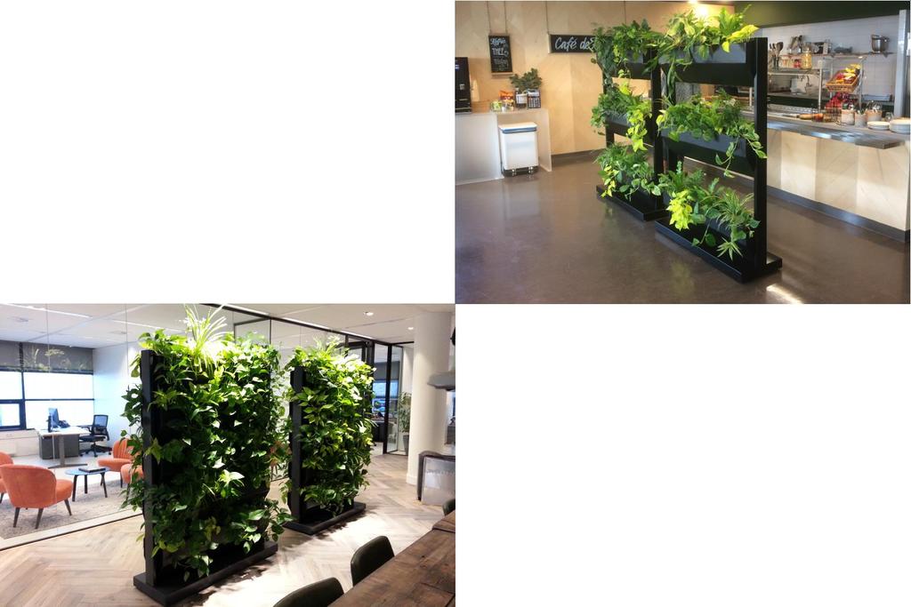 Green roomdivider de natuurlijke ruimtescheiding - Afmeting: lxbxh: 125 x 40 x 175 cm - Opgebouwd uit wandmodules (LDPE) en RVS voetplaat en omlijsting in meerdere RAL kleuren - Dichte of open wand -