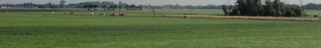 De ligging van deze polder pal tegen de stad maakt van deze polder een bijzonder landschappelijk element.