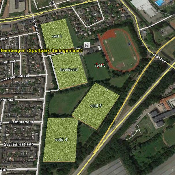1. Huidige situatie Aantal velden en kleedkamers Vereniging Steenbergen beschikt momenteel over vier wedstrijdvelden en een niet volledig trainingsveld (geen wedstrijdafmeting).
