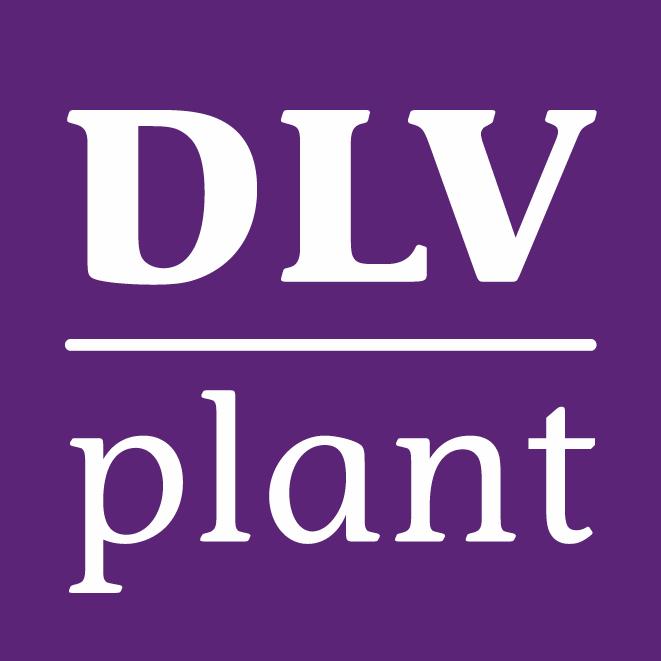 Spathiphyllum Gewas vol energie Fase 1: Vooronderzoek DLV Plant Postbus 7001 6700 CA Wageningen Agro Business Park 65 6708 PV Wageningen T 0317 49 15 78 F 0317 46 04 00 E info@dlvplant.