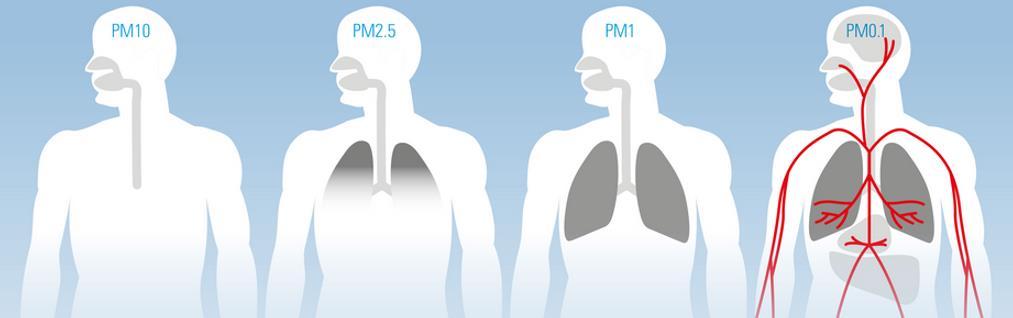 1 μ m : ultrafijne partikels => bloedvaten PM10 = 0,01 mm - Pollen - Woestijnstof PM 2,5 =