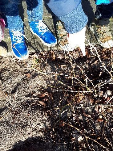 In de klas blijven uiteraard ook plantjes achter zodat we zowel individueel als ook met elkaar de groei kunnen volgen.