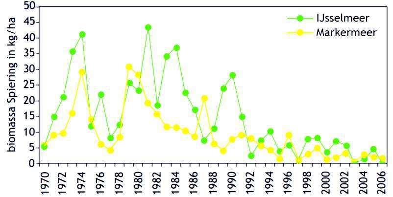 paaigebied, dit zijn de dijken langs de kust van Flevoland, waar het water voor de oever dieper is (Van Emmerik & de Nie, 2006; Van Eerden et al., 2005).