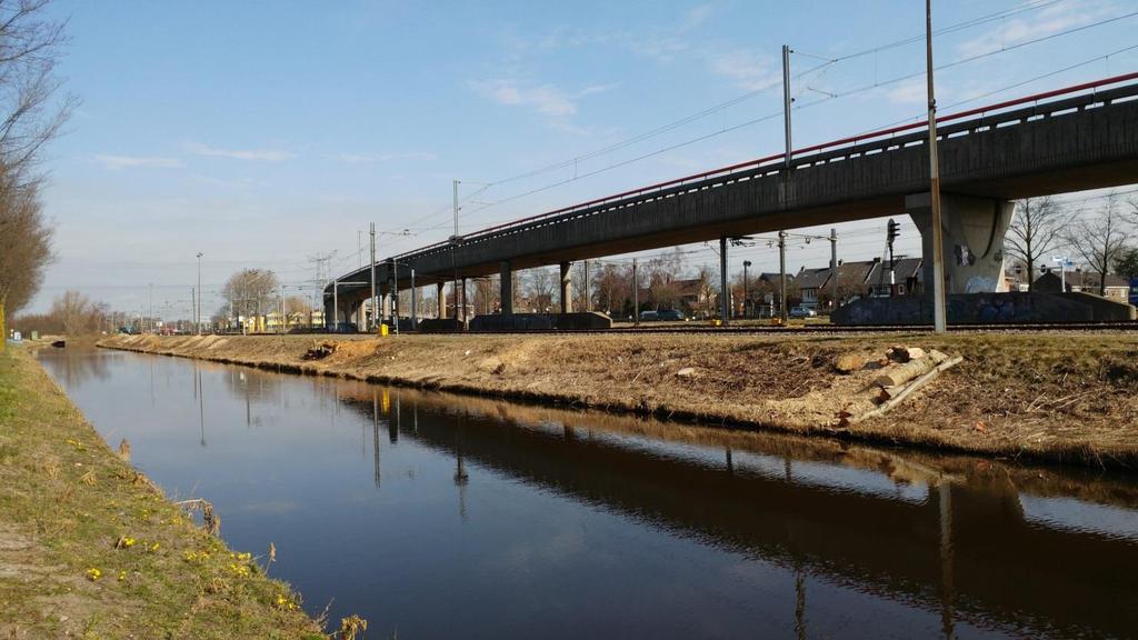 Prorail Prorail: Bomen en struiken weghalen (kappen) doen we alleen als ze te dicht langs de spoorbaan staan.