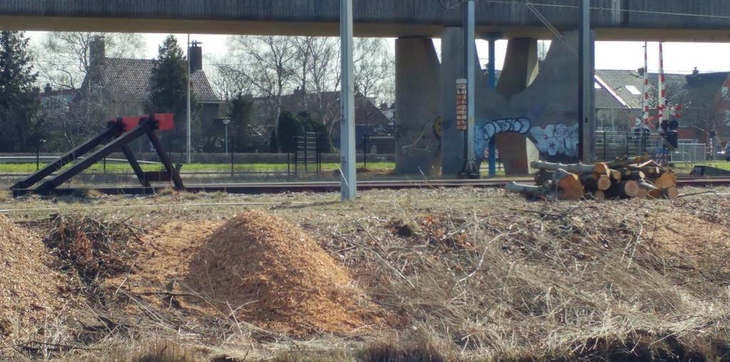 Ja, in de Spoorwegwet staat dat er 11 meter links en 11 meter rechts van het spoor geen bomen mogen groeien.