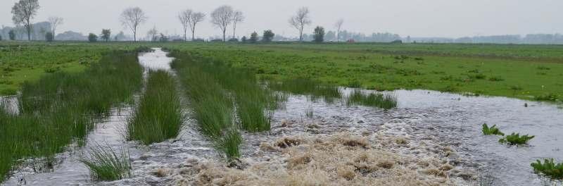 Hier is de maaidatum verder uitgesteld van 1 juni naar 15 juni.