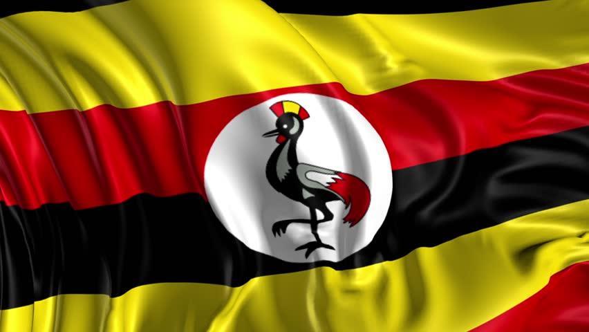 Documenten PASPOORT Je paspoort dient bij binnenkomst in Oeganda nog minimaal 6 maanden geldig te zijn. VISUM Je vraagt zelf online een visum aan voor Oeganda.