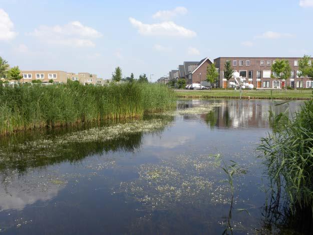 Beeldenboek Onderhoud watergangen en oevers gemeente Rotterdam