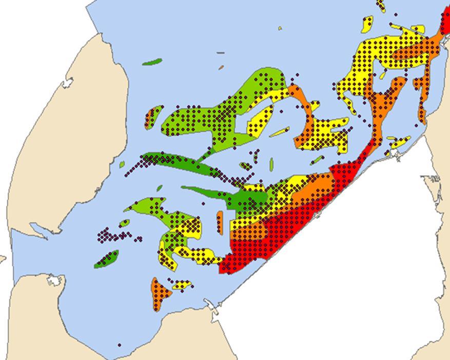 sublitorale gebieden in de Waddenzee te zijn aangewezen als gesloten gebied voor de bodemberoerende visserij en kan de eerste fase (5 tot 10 jaar) van het onderzoek van start gaan.