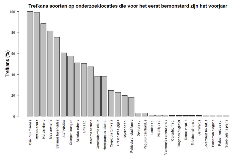 minimaal 15% van de monsters voorkwamen. Voor de in het najaar startende vakken waren dat er 17 Figuur 3.4.1a: Benthossoorten gevonden in de zuigkor- en bodemschaafmonsters in het voorjaar.