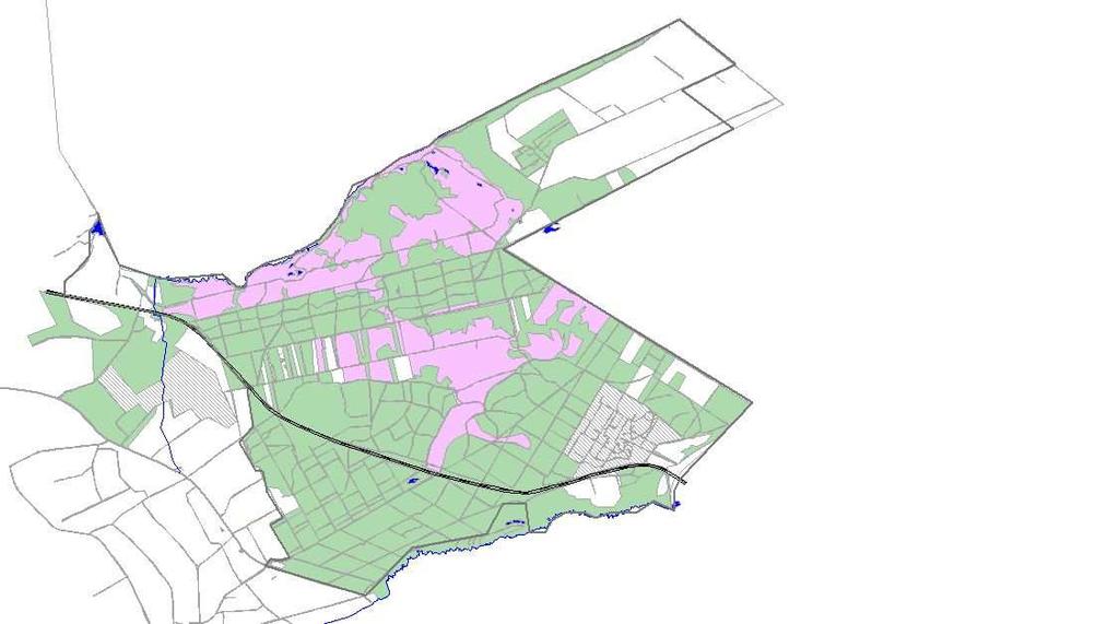 1. Inleiding In 2008 is nagenoeg het gehele Nationale Park De Meinweg op het voorkomen van broedvogels onderzocht met uitzondering van het bosgebied Luzekamp en de bosgebieden binnen de grenzen van