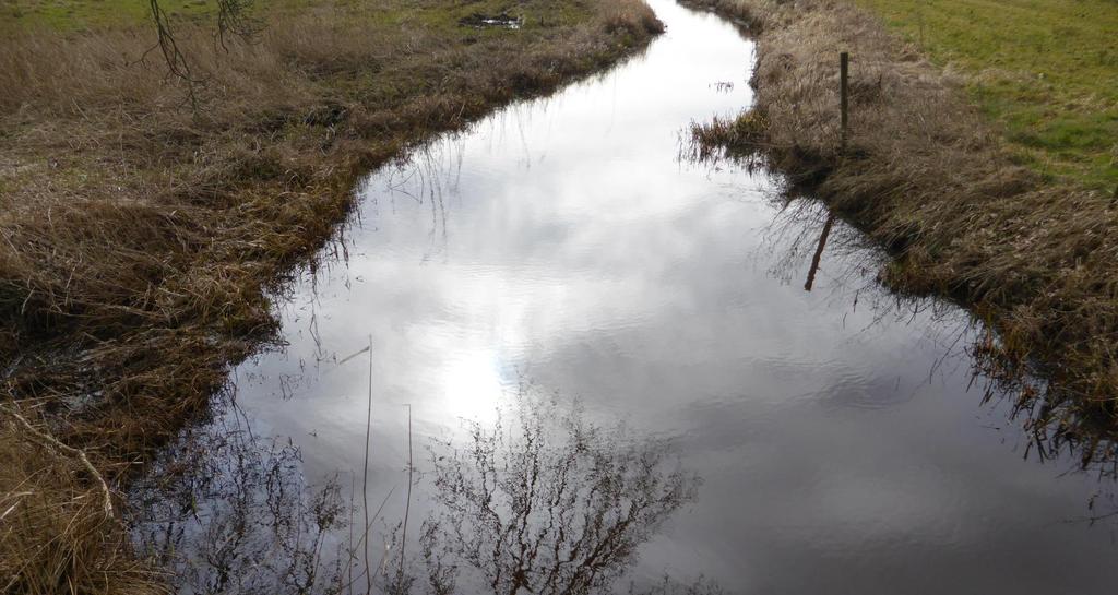 richting de bron. Links kijk je uit op natuurreservaat Schrapveen. De Reest is een van de weinige echte hoogveenbeken in Nederland. http://www.hvavereest.