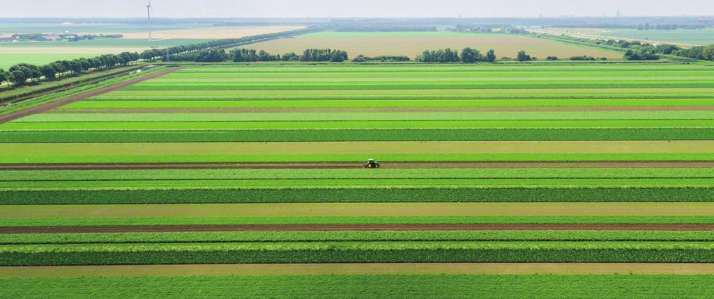 Bodemleven Onkruidonderdrukking en winterhardheid Opbrengst volgteelt?