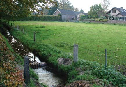 Spreng langs weitje aan de Reuweg Beeldbepalend groen aan de Kempe Zilven is sterk verbonden met het landschap maar de beplanting die er is bepaalt wel voor een groot gebied het beeld.