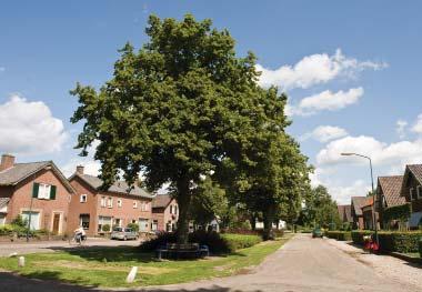 De beplantingen langs de sprengkoppen vormen grote groene elementen midden in de jaren vijftig wijkjes tussen de Horstweg en de Hoofdweg. Een bijzonderheid is het hertenweitje aan de Leeuwenbergweg.