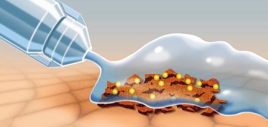 verweken waardoor er penetratie in de biofilm mogelijk is.