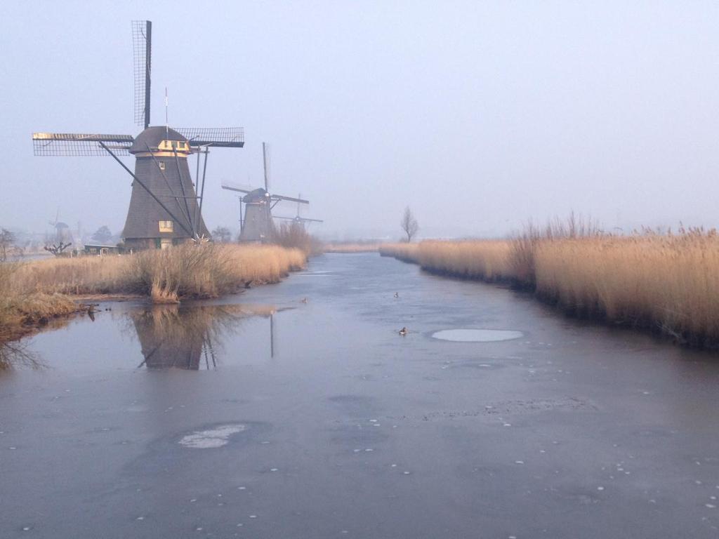 Het weer Het voorjaar van 2013 was met gemiddeld 7,4 C tegen 9,5 C normaal in De Bilt de koudste in ruim 40 jaar (KNMI).