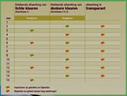 Kleuren worden ingedeeld in de klassen: 1 Wit, geel, beige en oranje 2 Rood, blauw, groen, grijs 3 Zwart, bruin 30 maart 2018 31 30 maart 2018 32 Inspectie en gebreken bijwerken: