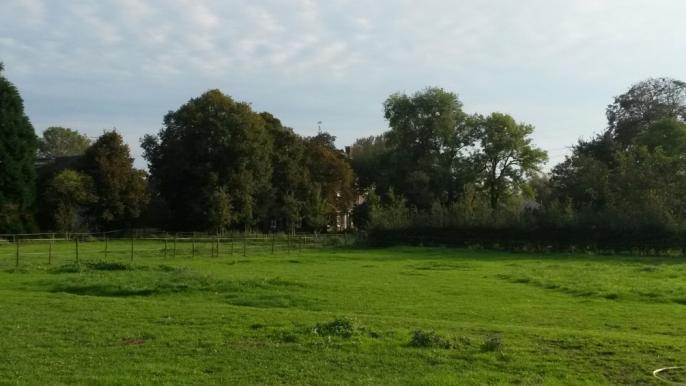 Zicht op open grasland en landgoed Om de kleinschaligheid van het erf te behouden en versterken en als bescherming tegen wind en zon, wordt aan de zuidzijde van de bestaande woning een rij solitaire