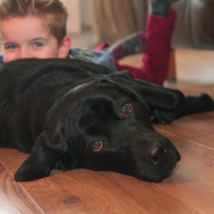 nl/blindengeleidehond Type: Assistentiehond Talenten: Licht- en liftknoppen bedienen, lades en deuren openen en weer sluiten.