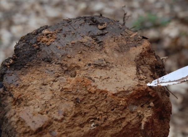 Als gevolg van de kleine doorlaatbaarheid van de fragipan trad er waterstagnatie op tijdens Dryasperiode met de vorming van roestvlekken. Deze roestvlekken zijn nu terug te vinden als fossiele roest.