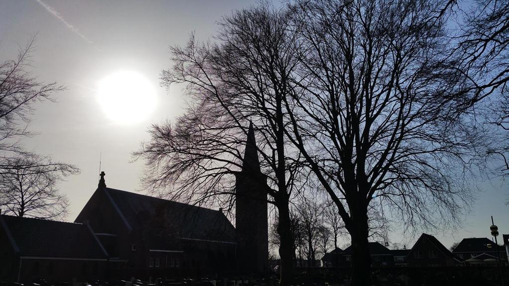 Beuken met X-factor Achter de kerk ligt het kerkhof met 2 enorme beuken die waarschijnlijk net zo oud zijn als het kerkhof zelf.