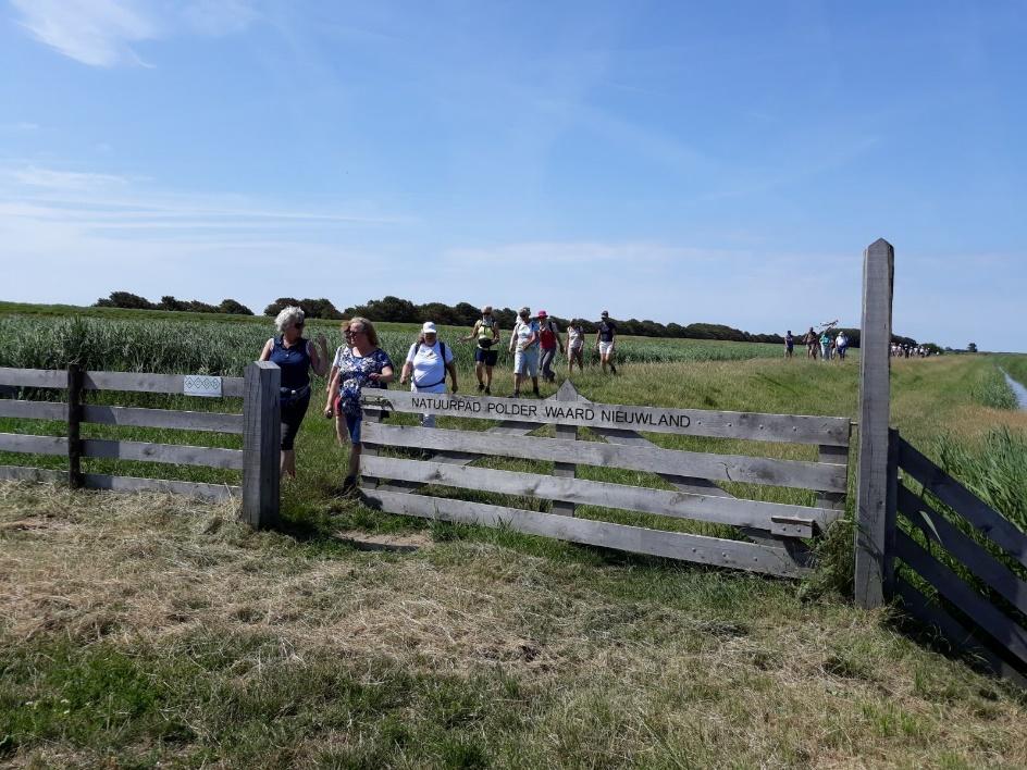 Rondwandeling Wieringen (20 km), zaterdag 7 juli 2018 Op deze prachtige zaterdagmorgen vond de rondwandeling op Wieringen plaats, etappe 5 van Camino aan het Wad - Noord Holland benoorden t IJ.