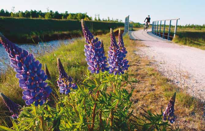 In 2009 wordt de knapzakroute Bargercompascuum-Hebelermeer gepresenteerd.