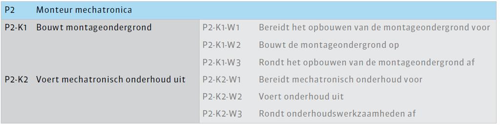 Daarnaast kan in de kolom gedrag een extra verduidelijking aangegeven zijn hoe deze beroepsspecifieke taal- en rekeneisen worden ingezet in een werkproces.