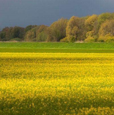 We zetten daarbij in op gebiedspools waar verschillende organisatie in samenwerken.