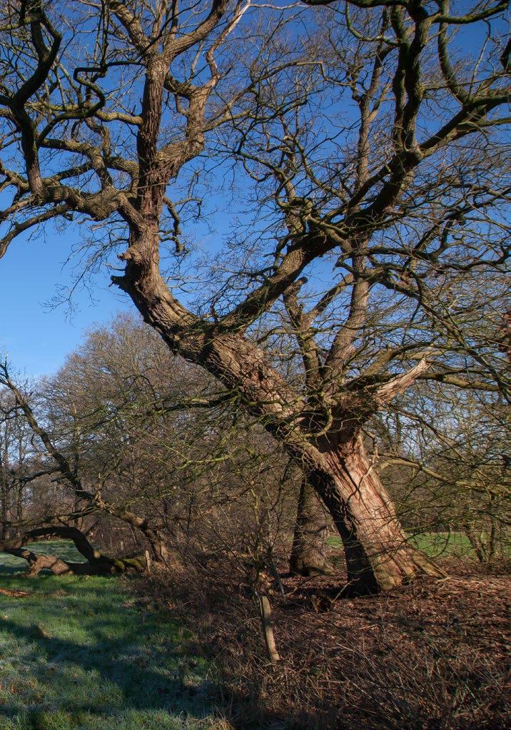 2017 in beeld Ons landschap is de weerspiegeling van onze cultuur en bewoningsgeschiedenis. Een niet eindigend verhaal van eeuwenlange ontwikkelingen en nieuwe toekomstplannen.