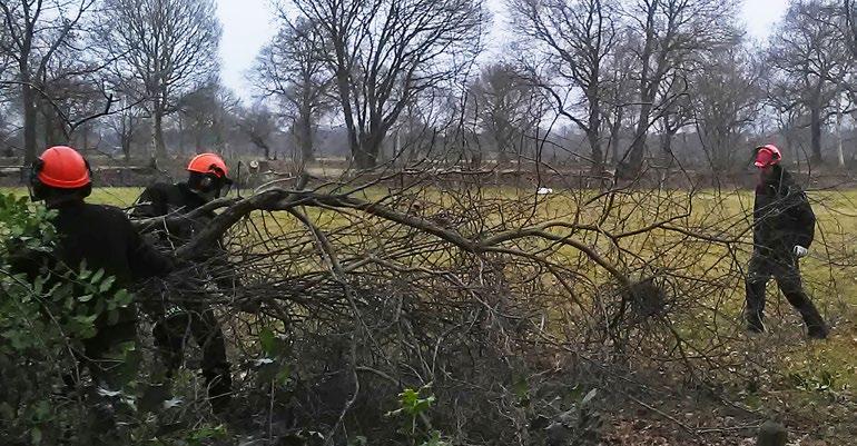 2017 in beeld Landschapsbeheer Groningen Dat onderhoud is door de eigenaren soms nauwelijks op te