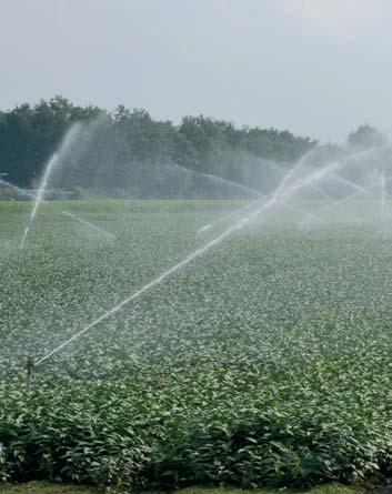 Efficiënt omgaan met Zorgvuldig met water omgaan betekent als teeltbedrijf gebruikmaken van de nieuwste technieken.