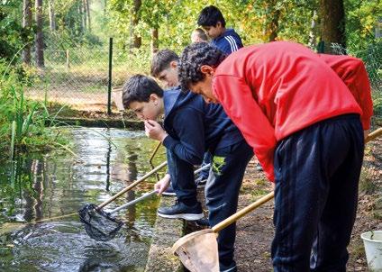 < < bos Vanuit verschillende invalshoeken kijken we naar het bos: lichtinval, vochtigheidsgraad, bodem, begroeiingslagen, planten, dierensporen, dieren,... leeftijd: 8-16 jaar duur: 2 uur max.