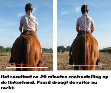 Door de contrastelling toe te passen, kunnen we deze korte, sterke, stijve spieren langer en soepeler maken en wordt het paard uit zijn natuurlijke buiging gehaald.