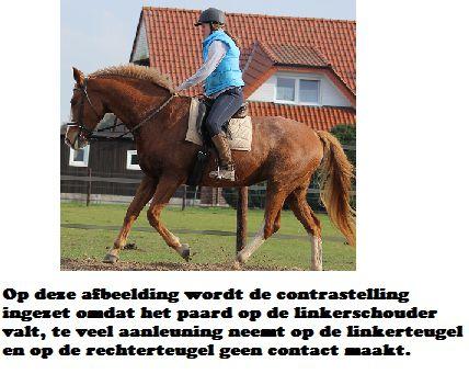 Copyright 2014 - Atletische Rijkunst - Monique de Rijk Pagina 107 Het paard bereikt vanuit de buitenteugel de voorwaarts neerwaartse tendens en komt recht.