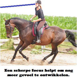 Copyright 2014 - Atletische Rijkunst - Monique de Rijk Pagina 108 Het paard zal in het begin wel even nodig hebben om zich middels de contrastelling recht te zetten.