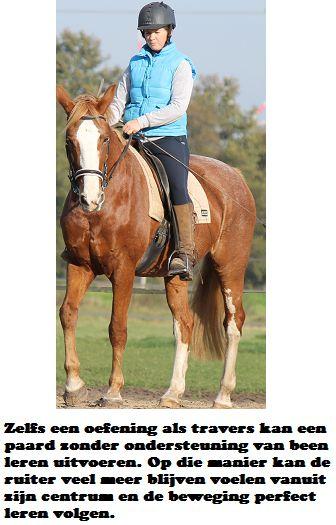 Copyright 2014 - Atletische Rijkunst - Monique de Rijk Pagina 114 Hoe kun je nu je paard leren om op lichte hulpen te reageren, en om in één tempo te blijven werken zonder zelf impuls te verliezen?