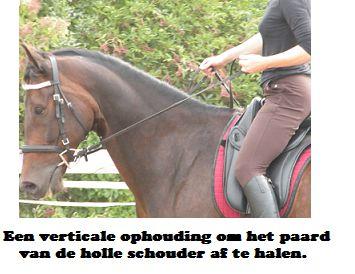 Copyright 2014 - Atletische Rijkunst - Monique de Rijk Pagina 116 Je zult merken dat een paard dit moet leren, want de neiging om steun te zoeken op die teugel is groot.