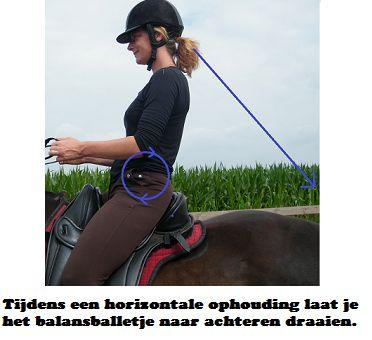 Middels horizontale ophoudingen gaat het paard meer gewicht overnemen met de achterhand en kan de voorhand vrijer en lichter bewegen.